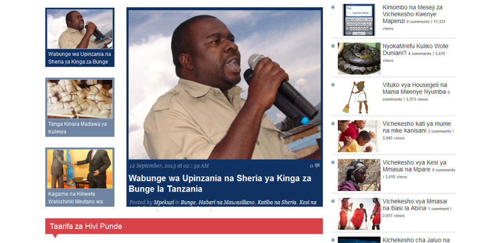 WordPress or Bloger Themes/Templates in Tanzania